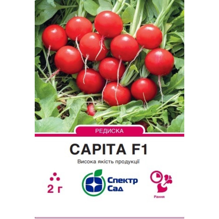 Редиска Саріта F1 2 г СПЕКТР